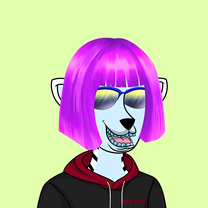 도지진도,도지진도 엔에프티,펀 도지진도,dogejindo,dogejindo nft,fun dogejindo, 11