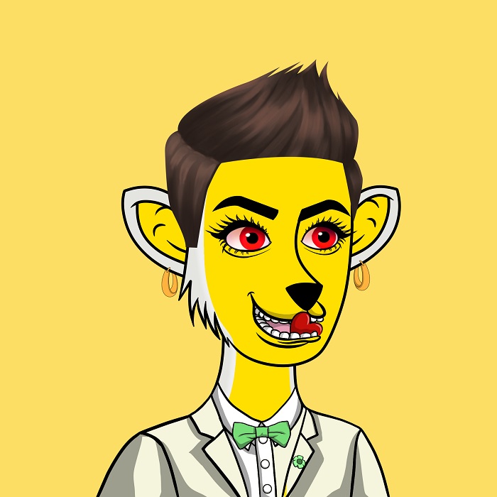 도지진도,도지진도 엔에프티,펀 도지진도,dogejindo,dogejindo nft,fun dogejindo, 14