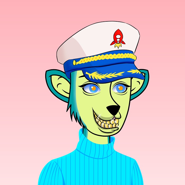 도지진도,도지진도 엔에프티,펀 도지진도,dogejindo,dogejindo nft,fun dogejindo, 16